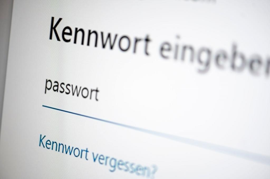 Zum Artikel