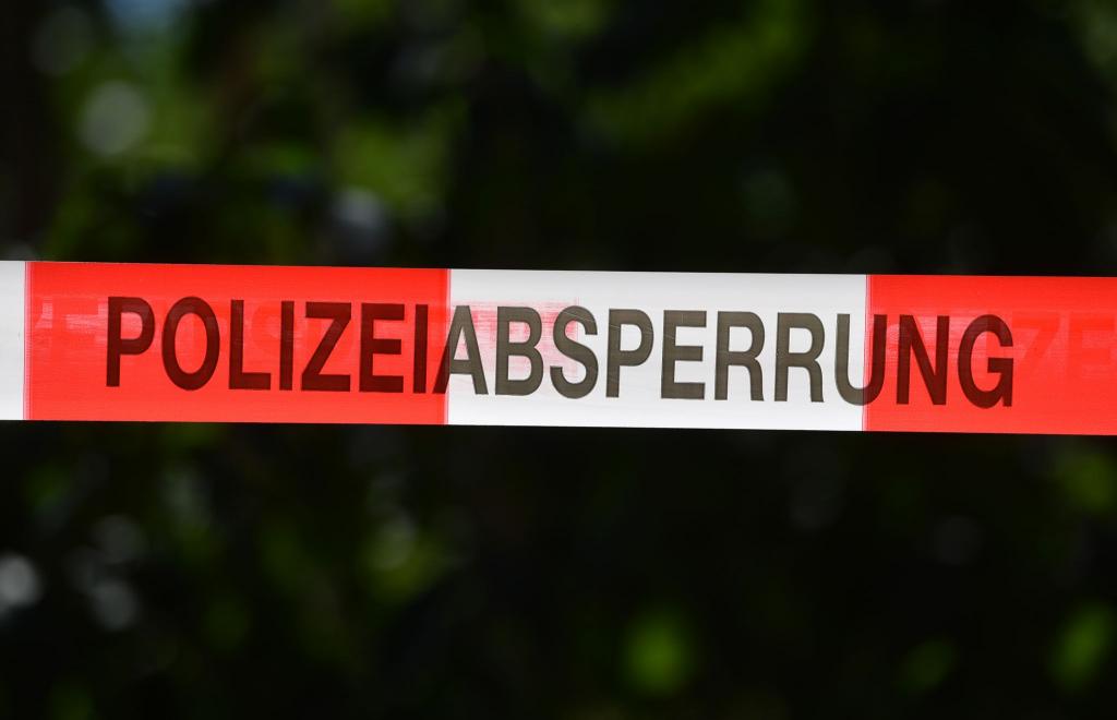 Zum Artikel