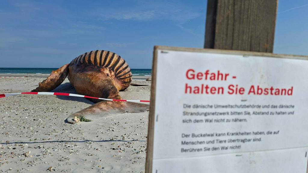 Zum Artikel