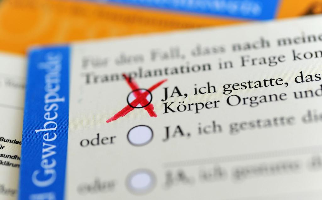 Zum Artikel