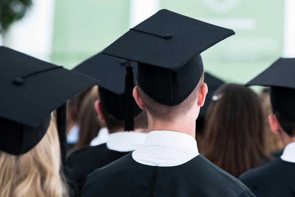 Zum Artikel