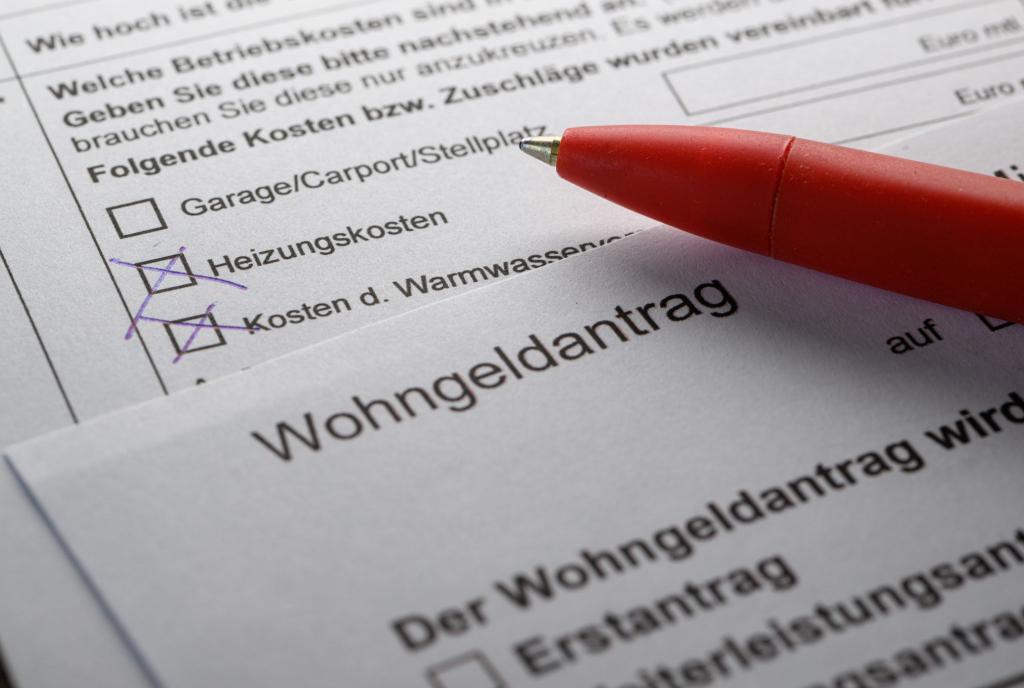 Zum Artikel