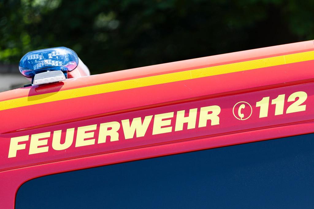 Zum Artikel