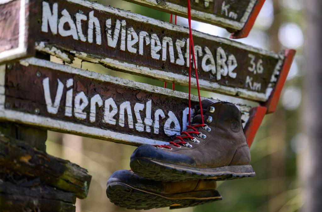 Zum Artikel