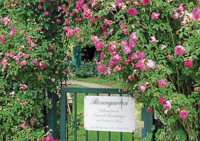 Am Tag der offenen Gärten öffnen in Wendlingen der Pfarrgarten und der