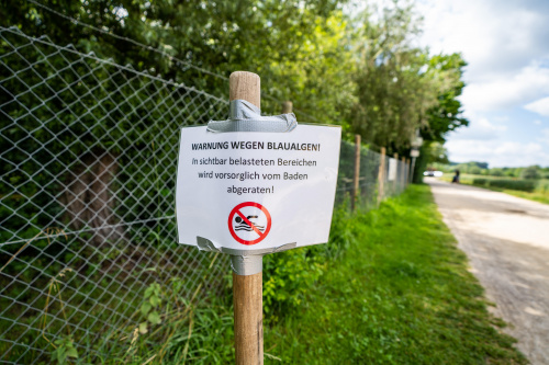 Zum Artikel