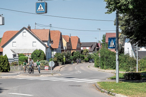 Zum Artikel