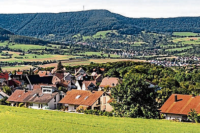 Zum Artikel