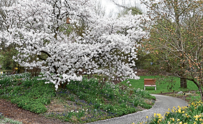 Ehrenamtliche für den Garten Eden in Nürtingen gesucht Nürtingen