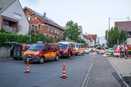 Zum Artikel