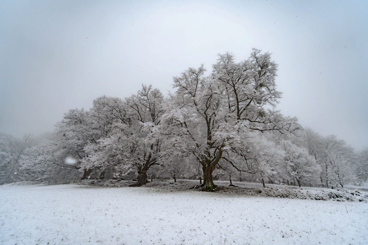 Bleibt Schnee Bei 1 Grad Liegen Wie lang bleibt der Schnee in Nürtingen und Umgebung liegen