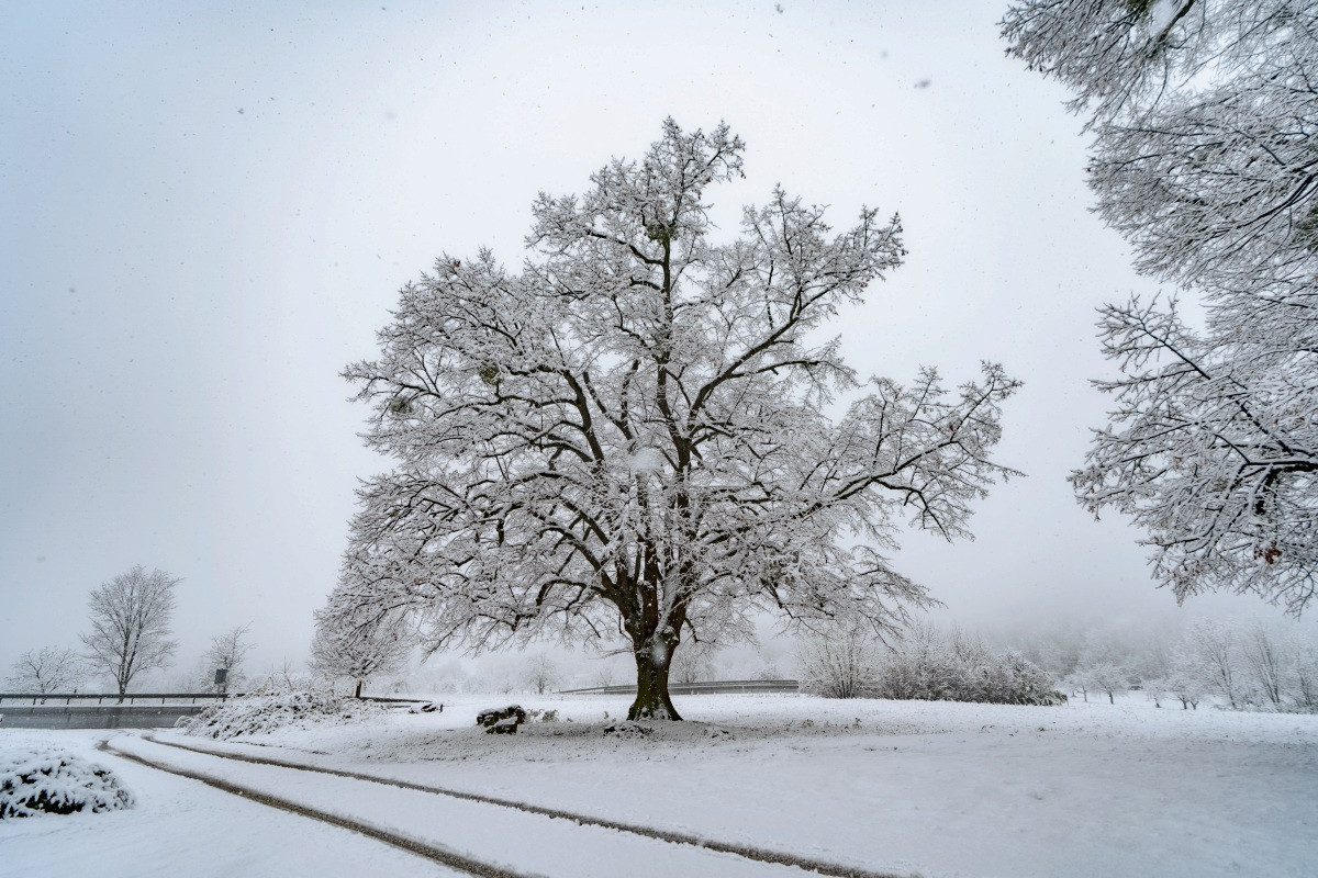 Bleibt Schnee Bei 1 Grad Liegen Wie lang bleibt der Schnee in Nürtingen und Umgebung liegen