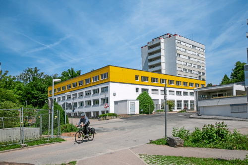 Zum Artikel
