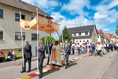 Zum Artikel