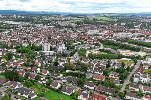 Zum Artikel