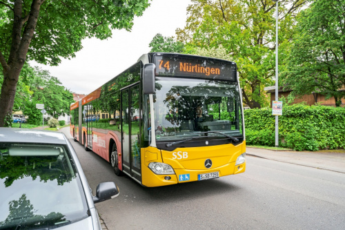 Zum Artikel
