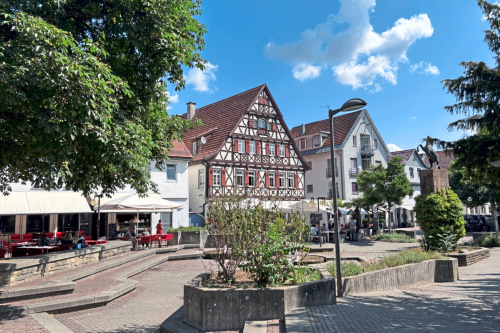 Zum Artikel