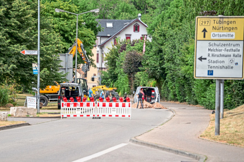 Zum Artikel