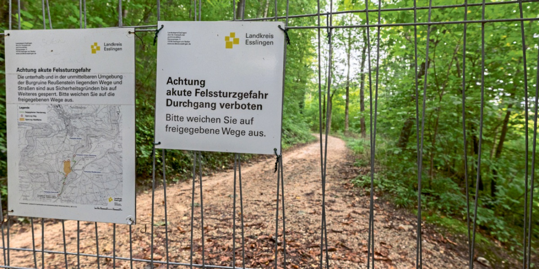 Zum Artikel