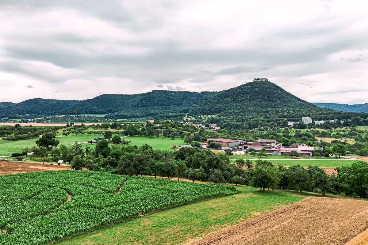 Auf dem Haldenhof in Balzholz gibt es ein Maislabyrinth
