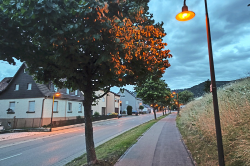 Zum Artikel