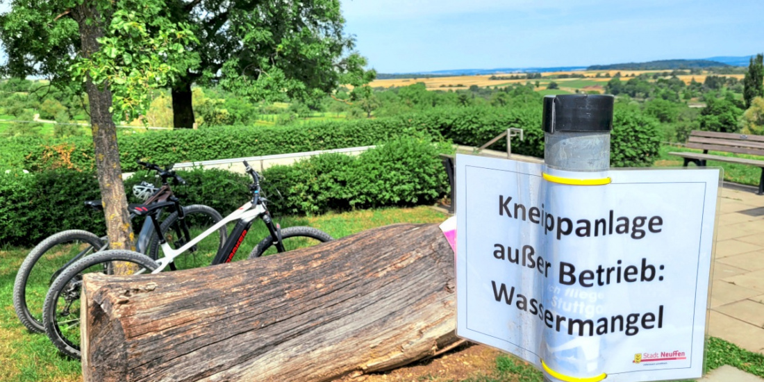 Zum Artikel