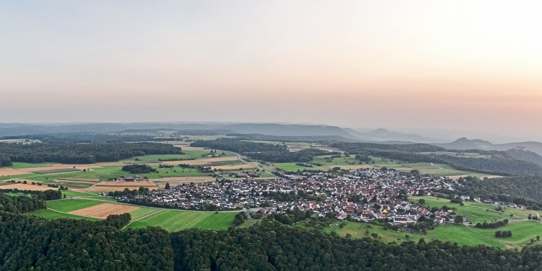 Zum Artikel