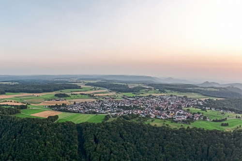 Zum Artikel