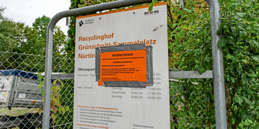 Zum Artikel