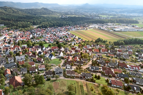Zum Artikel