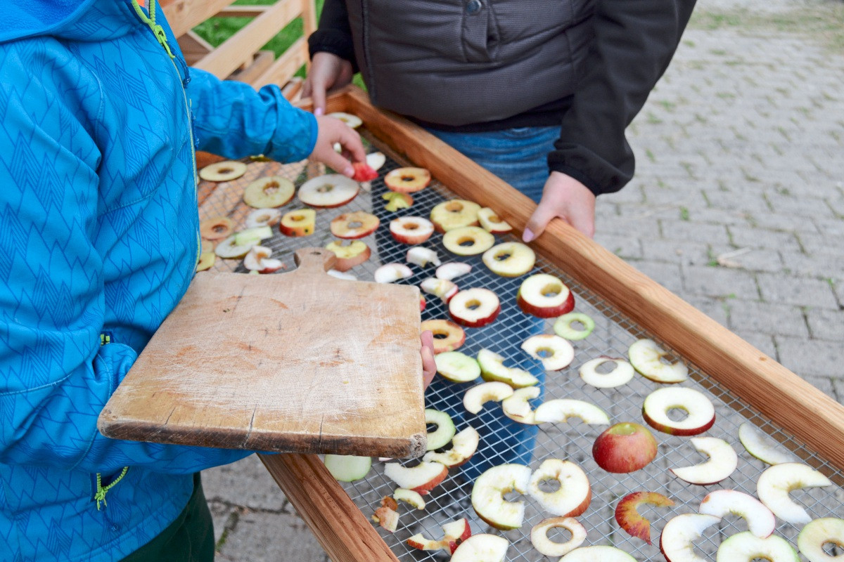 „Moschtfescht“ und Sortenschau Streuobst im Freilichtmuseum Beuren