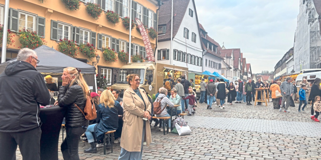 Zum Artikel