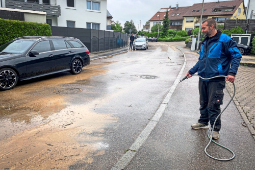 Zum Artikel