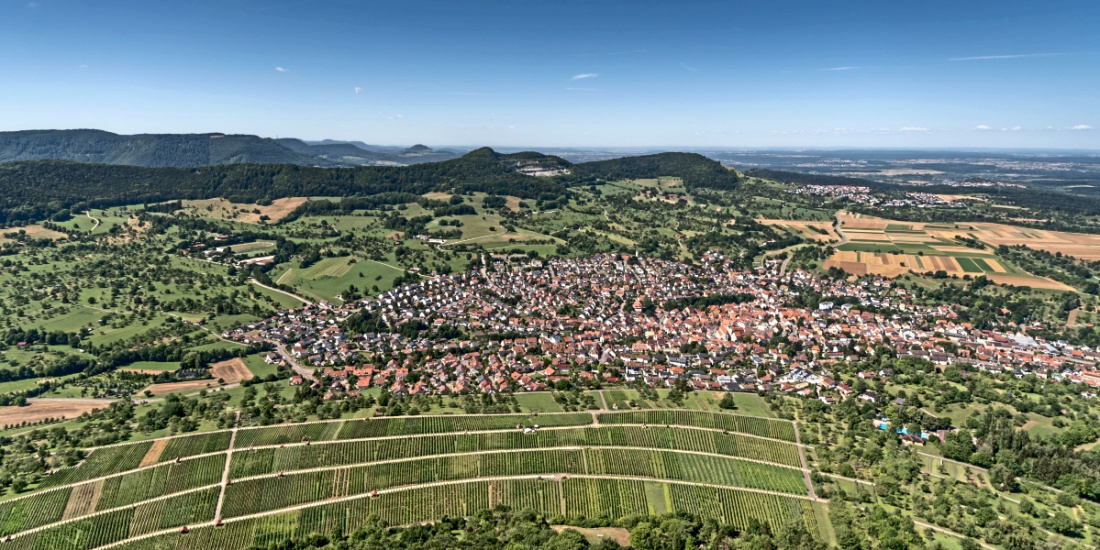 Zum Artikel