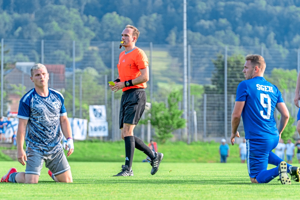Referee shortage as an underestimated problem