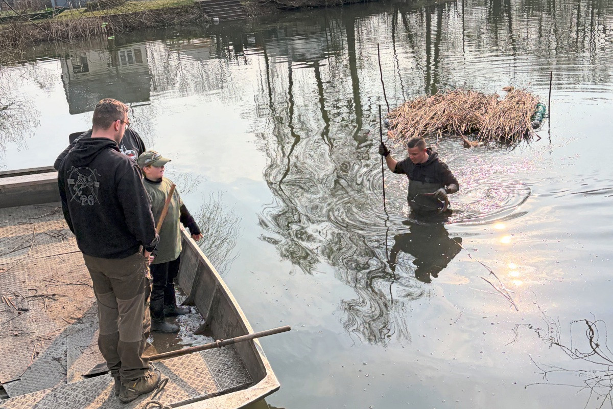Die Neckartailfinger Anglerjugend sorgt für Fischnachwuchs