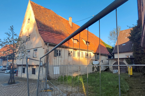 Zum Artikel