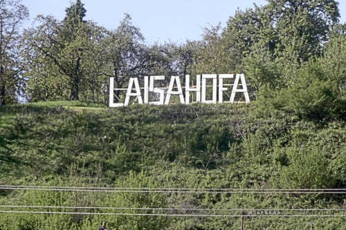 Zum Artikel