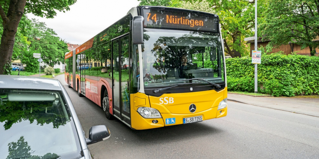 Zum Artikel