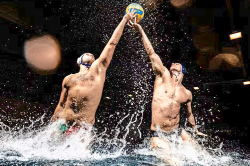 Zum Artikel