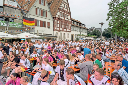 Zum Artikel