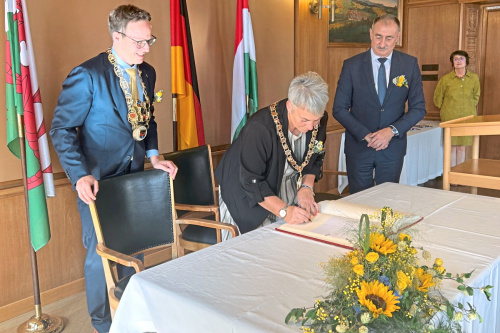 Zum Artikel