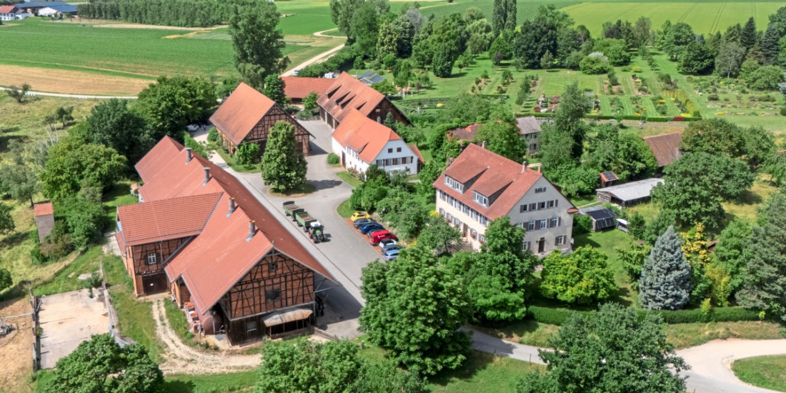 Zum Artikel