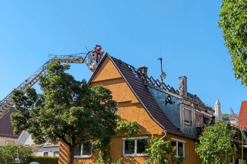 Zum Artikel