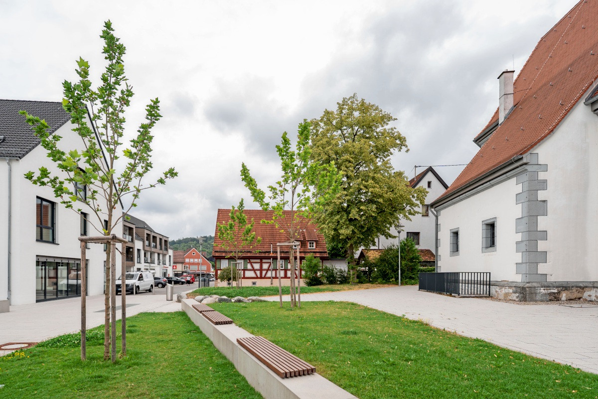 In Frickenhausen, 100 trees are to contribute to climate protection.