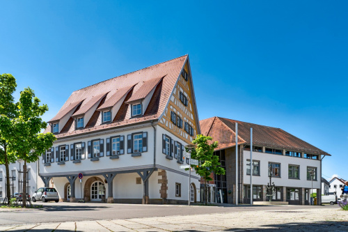 Zum Artikel