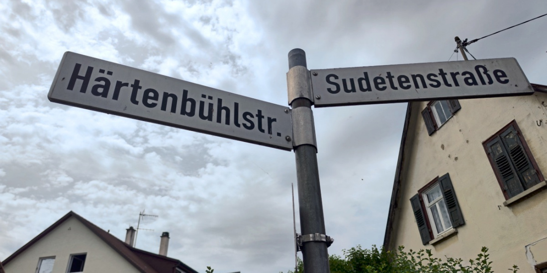 Zum Artikel