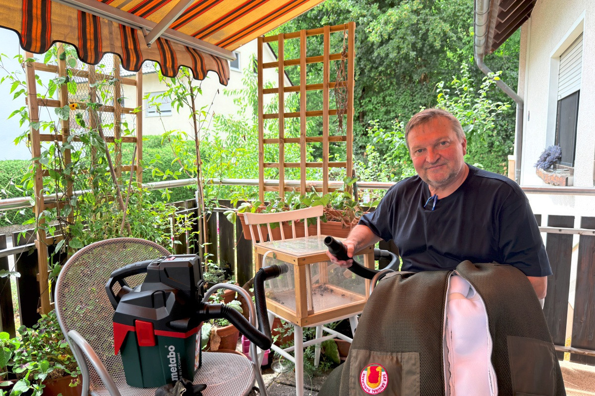 A beekeeper from Frickenhausen fights against the Asian hornet
