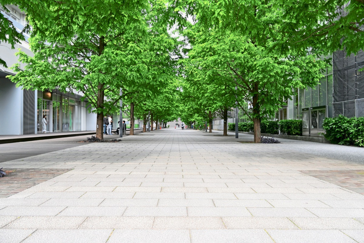 Mehr als 1500 Vorschläge für Standorte von Klimabäumen in Nürtingen - ...