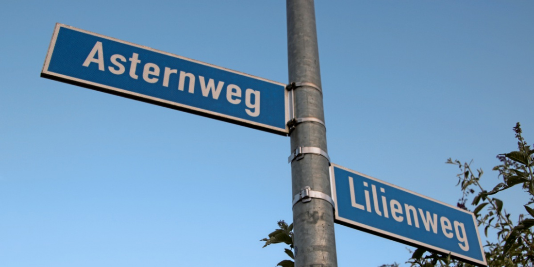 Zum Artikel